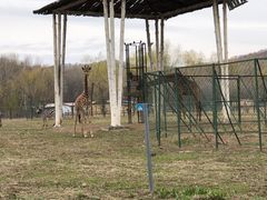 -哈尔滨北方森林动物园