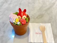 -哈根达斯(青岛海信店)