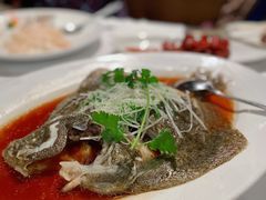 清蒸多宝鱼-苏浙汇(朝外店)