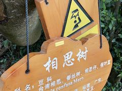 -海口火山口国家地质公园