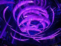 -西安W酒店·WEI全味西餐厅