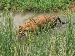 -新疆天山野生动物园