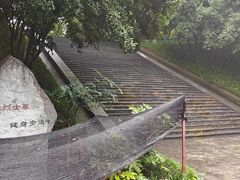 -菊花台公园