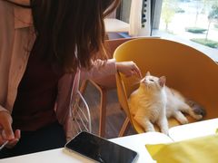 -COTTON CAFE(德信·中外公寓店)