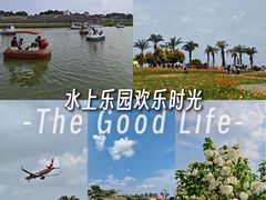 -空港花田景区