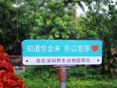 -深圳野生动物园