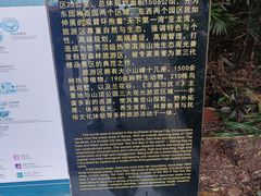 -亚龙湾热带天堂森林公园
