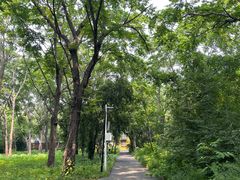 -黑龙江省森林植物园