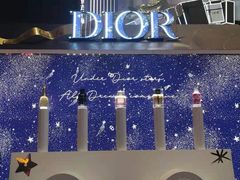 -Dior迪奥(上海世茂广场店)