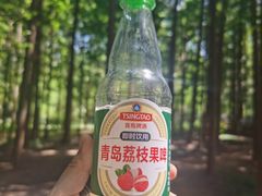-日照海滨国家森林公园