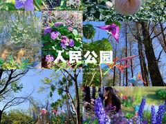 -人民公园(罗湖区)