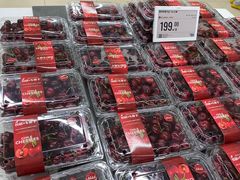 -盒马X会员店(上海森兰商都店)