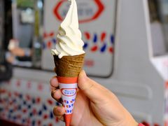 -富豪雪糕车流动点(尖沙咀店)
