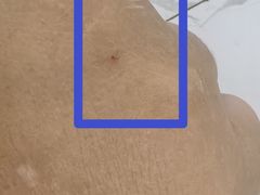 -上海中医药大学附属曙光医院(东部)