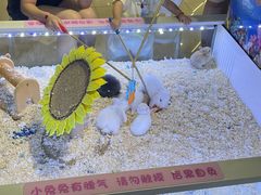 -大玩家(拱墅万达店)