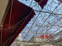 -伊隆斋(什刹海店)