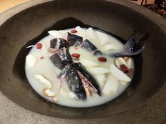 -咕嘟草帽鱼·牛奶一样的鲜鱼汤(天鹅湖万达广场店)