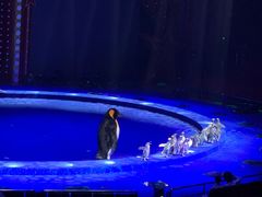 -珠海横琴长隆《卡卡虎奇遇记》
