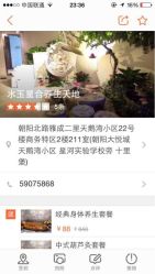 水玉星合养生天地-克丽缇娜