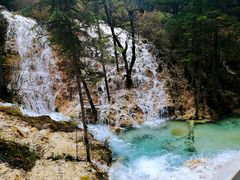 -黄龙山原始森林景区