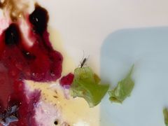 -香樟花园法式铁板烧(恒隆广场店)
