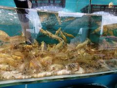 -港畔赶海蒸汽海鲜烧烤自助(仙螺岛店)