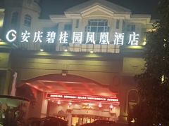 -安庆碧桂园凤悦凤凰酒店(市政务中心店)
