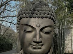 -杭州植物园