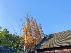 -苏州碑刻博物馆