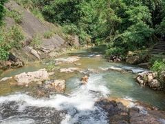 -广州白江湖森林公园