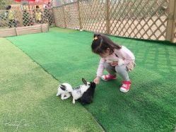 -萌宠亲子动物乐园(槐房万达店)