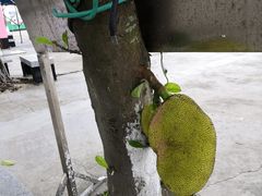 -台山黑沙湾海浴场