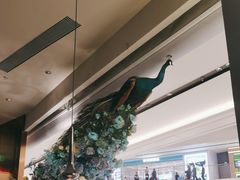 -雀蓝川菜(滨湖万象汇店)