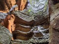 -梭布垭石林景区