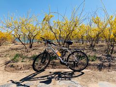 -永定河休闲森林公园