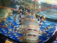 -大门水乡·顺德菜