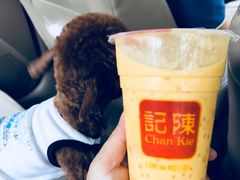 -陈记甜品窝(中山北路店)