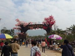 android_upload_pic-天适樱花悠乐园