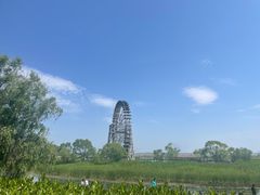 -苏州太湖湖滨国家湿地公园