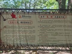 -张家港金凤凰度假村温泉