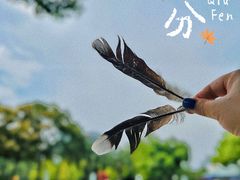 -新虹桥中心花园