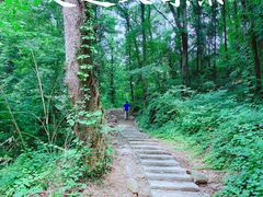 -素山寺森林公园