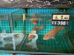 -鹿鸣酒家(越秀店)