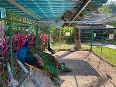 -西双版纳融创皇冠假日度假酒店