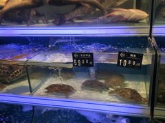 -永辉超市(华地财富广场店)