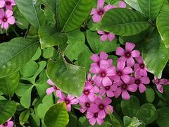 -苏州河梦清园环保主题公园