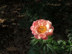 -幕燕滨江·长江观音景区