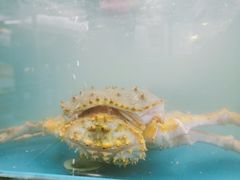 -麦德龙(包河店)