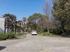 -胜华驾校·小猫学车(银都店)