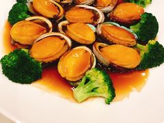 -金河半岛园林酒家(金融城店)